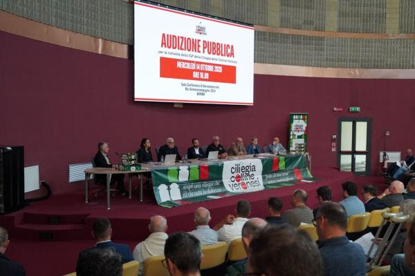 LA CILIEGIA DELLE COLLINE VERONESI SEMPRE PIU’ VICINA ALL’IGP.